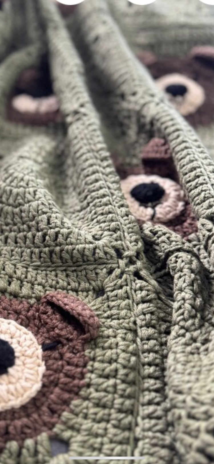 Sage Green Crochet Teddy Bear Baby Blanket