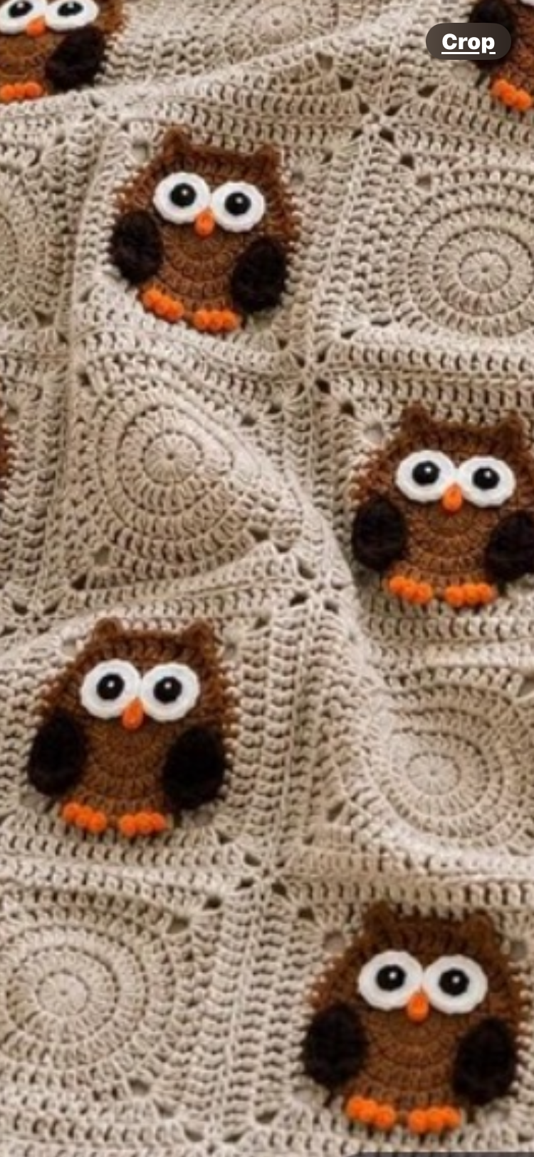 Owl Crochet Blanket  hoo hoo
