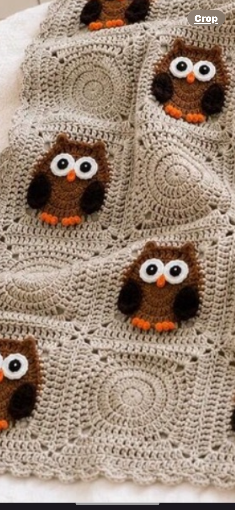 Owl Crochet Blanket  hoo hoo