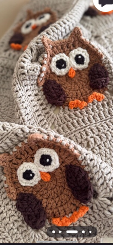 Owl Crochet Blanket  hoo hoo