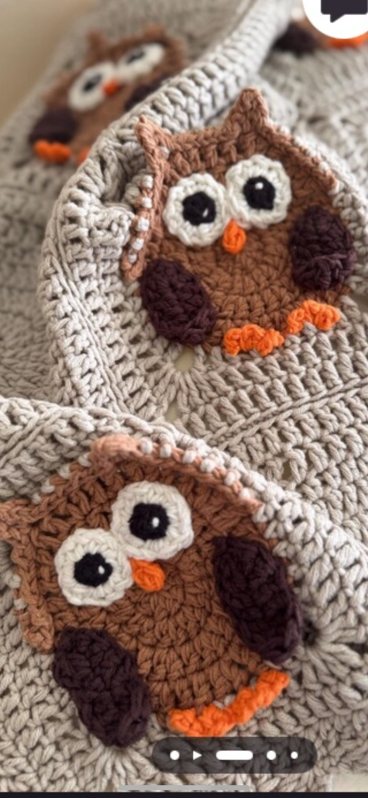 Owl Crochet Blanket  hoo hoo